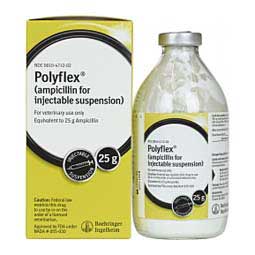 Polyflex Ampicillin for Dogs & Cats  Boehringer Ingelheim